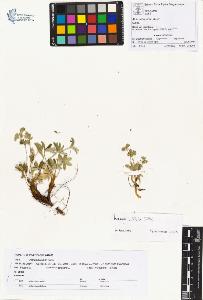 SW_BNB_s3070-00947_IMG-0000000001