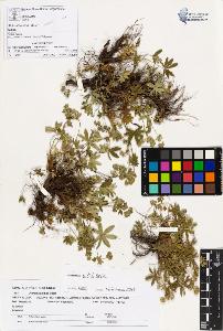 SW_BNB_s3070-00951_IMG-0000000001