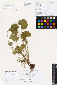 SW_BNB_s3070-00955_IMG-0000000001