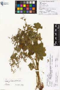 SW_BNB_s3070-00958_IMG-0000000001
