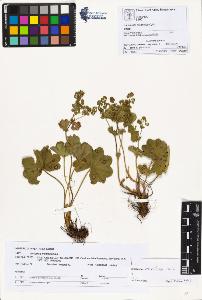 SW_BNB_s3070-00961_IMG-0000000001