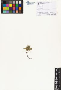 SW_BNB_s3070-00962_IMG-0000000001
