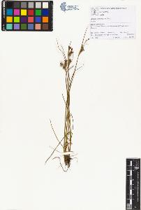 SW_BNB_s3070-00963_IMG-0000000001