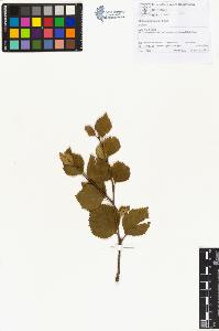 SW_BNB_s3070-00964_IMG-0000000001