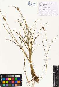 SW_BNB_s3070-00966_IMG-0000000001