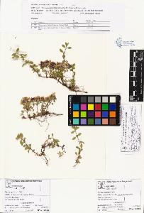 SW_BNB_s3070-00969_IMG-0000000001