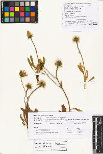SW_BNB_s3070-00971_IMG-0000000001