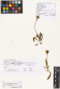 SW_BNB_s3070-00973_IMG-0000000001