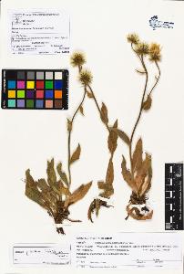SW_BNB_s3070-00974_IMG-0000000001