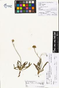 SW_BNB_s3070-00975_IMG-0000000001