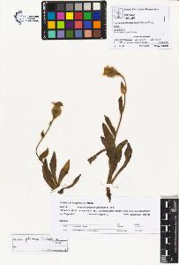 SW_BNB_s3070-00978_IMG-0000000001