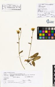 SW_BNB_s3070-00984_IMG-0000000001