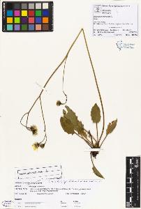 SW_BNB_s3070-00985_IMG-0000000001
