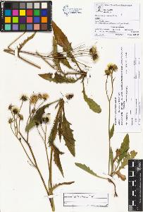 SW_BNB_s3070-00986_IMG-0000000001