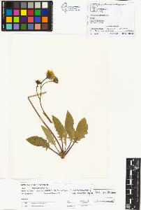 SW_BNB_s3070-00987_IMG-0000000001