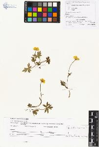 SW_BNB_s3070-00989_IMG-0000000001