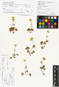 SW_BNB_s3070-00991_IMG-0000000001