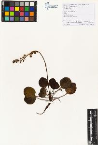 SW_BNB_s3070-00993_IMG-0000000001