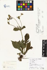 SW_BNB_s3070-00999_IMG-0000000001