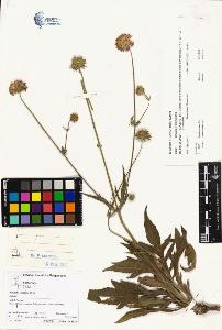 SW_BNB_s3070-01000_IMG-0000000001