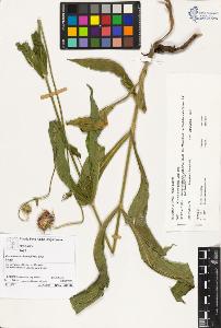 SW_BNB_s3070-01004_IMG-0000000001