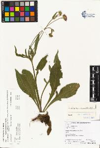 SW_BNB_s3070-01006_IMG-0000000001