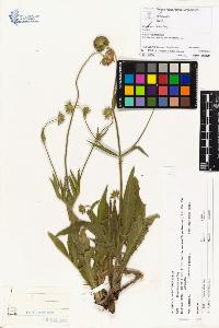 SW_BNB_s3070-01007_IMG-0000000001