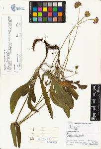 SW_BNB_s3070-01013_IMG-0000000001