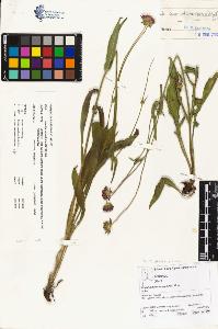 SW_BNB_s3070-01014_IMG-0000000001