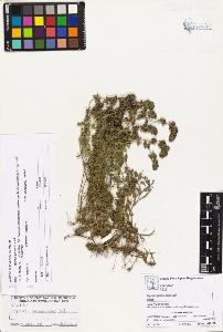 SW_BNB_s3070-01015_IMG-0000000001