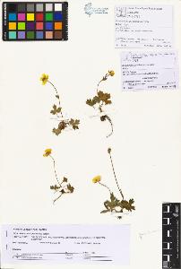 SW_BNB_s3070-01016_IMG-0000000001