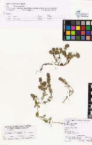 SW_BNB_s3070-01017_IMG-0000000001