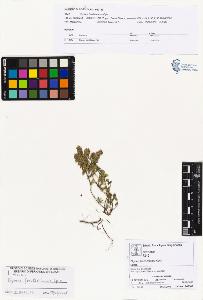 SW_BNB_s3070-01020_IMG-0000000001