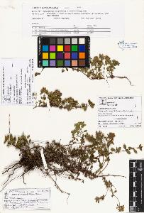 SW_BNB_s3070-01021_IMG-0000000001