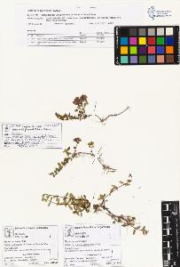 SW_BNB_s3070-01022_IMG-0000000001