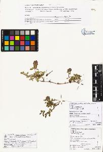 SW_BNB_s3070-01024_IMG-0000000001