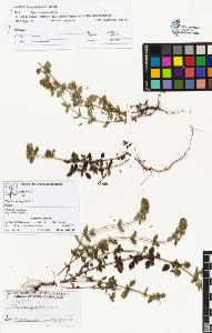 SW_BNB_s3070-01025_IMG-0000000001