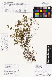 SW_BNB_s3070-01031_IMG-0000000001