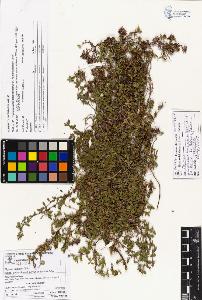 SW_BNB_s3070-01032_IMG-0000000001