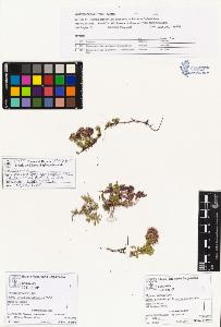 SW_BNB_s3070-01035_IMG-0000000001