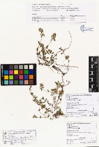 SW_BNB_s3070-01036_IMG-0000000001