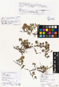 SW_BNB_s3070-01037_IMG-0000000001