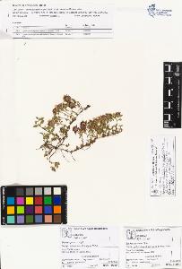 SW_BNB_s3070-01038_IMG-0000000001