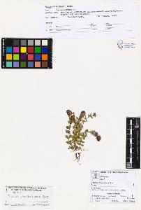 SW_BNB_s3070-01039_IMG-0000000001