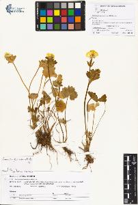 SW_BNB_s3070-01041_IMG-0000000001