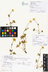 SW_BNB_s3070-01042_IMG-0000000001