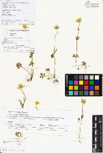 SW_BNB_s3070-01043_IMG-0000000001