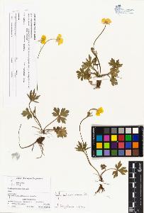 SW_BNB_s3070-01045_IMG-0000000001