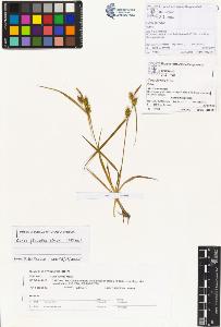 SW_BNB_s3070-01048_IMG-0000000001