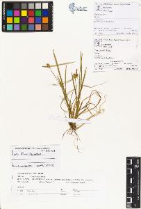 SW_BNB_s3070-01049_IMG-0000000001